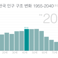 한국 인구 구조 변화 1955-2040(추정)